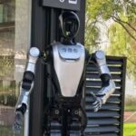 Encounter by the Lake! The S-Bay Robot Welcomes Guests at Dongtai Lake