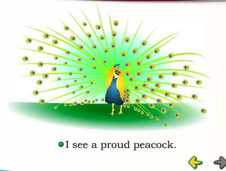 I See C and I See P Activities