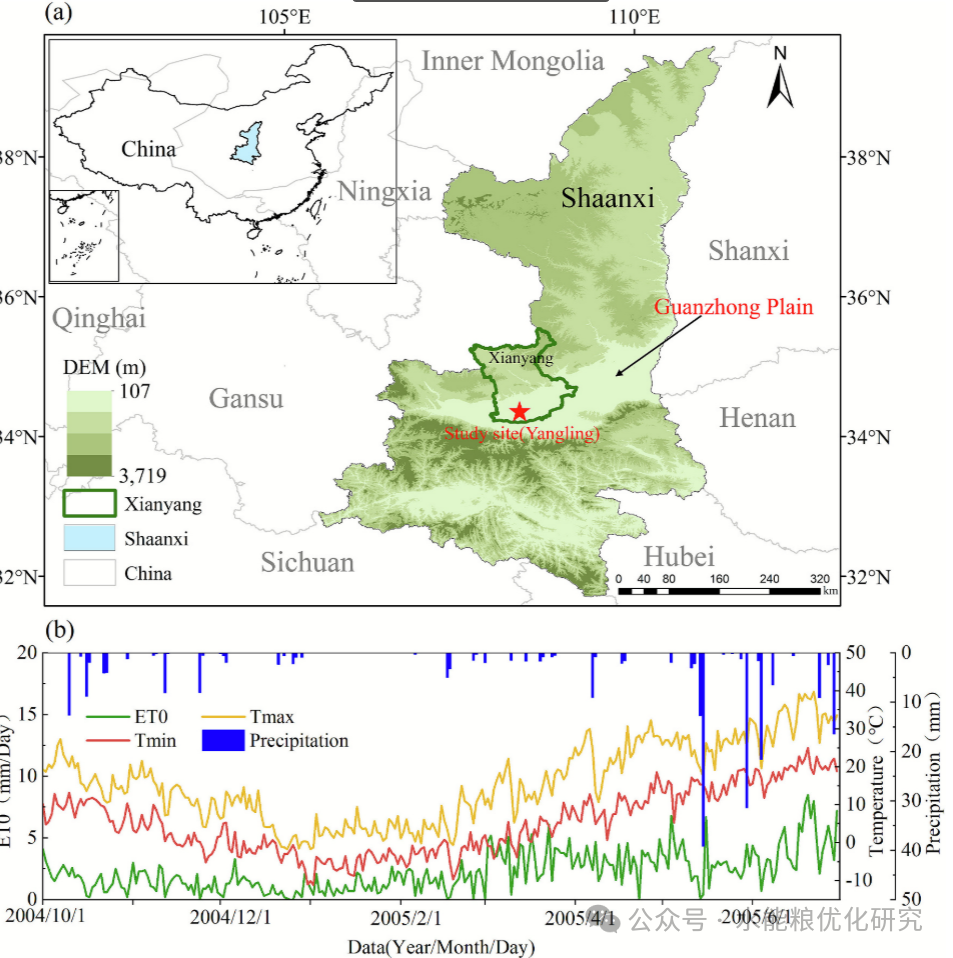 An Integrated Meteorological Adaptive Simulation-Optimization Framework for Real-Time Irrigation Scheduling Considering Perfect Weather Forecasts