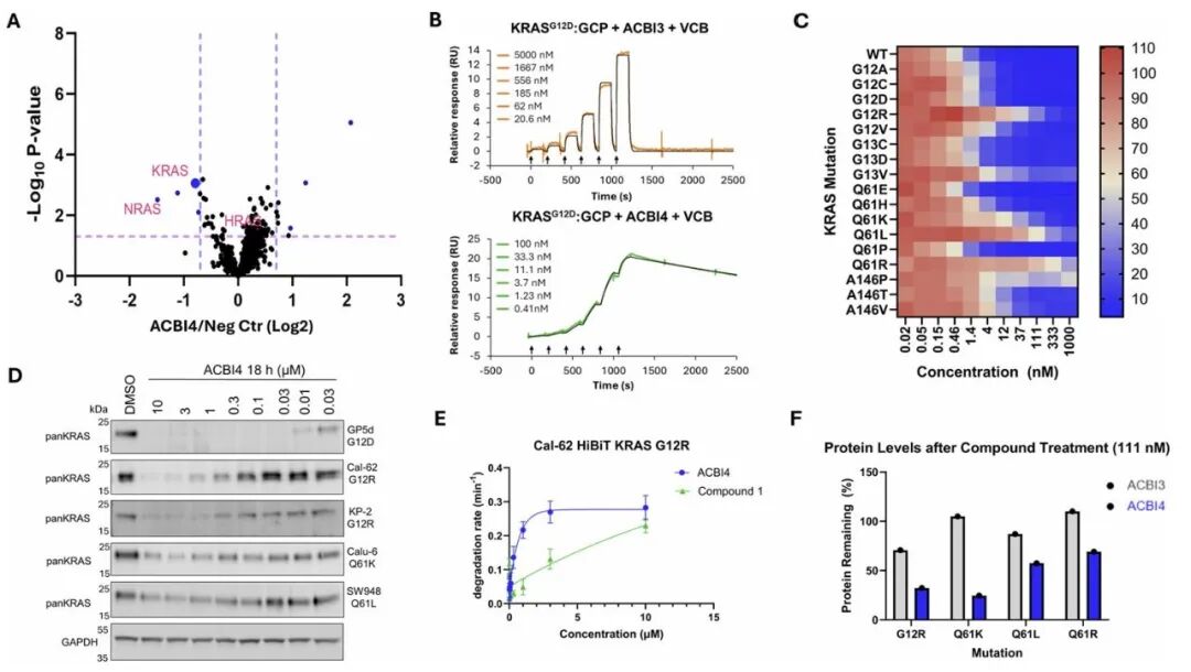Targeting the 'Activated State' KRAS: Discovery of the Highly Cooperative PROTAC Degrader ACBI4