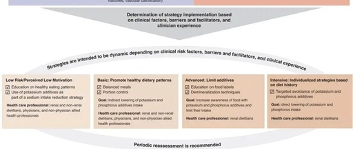 ASN Kidney Health Guidance on Potassium and Phosphorus Food Additives