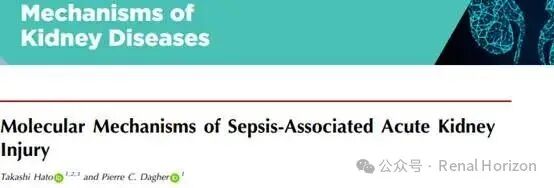 Molecular Mechanisms of Sepsis-Associated Acute Kidney Injury