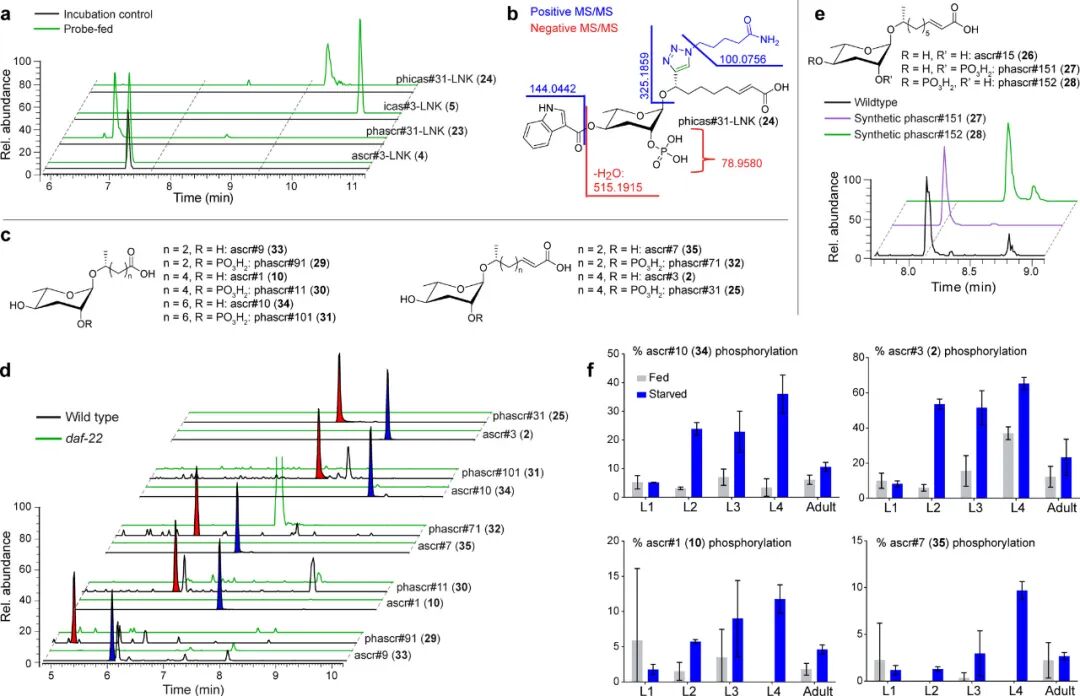 Deep Interrogation of Metabolism Using a Pathway-Targeted Click-Chemistry Approach