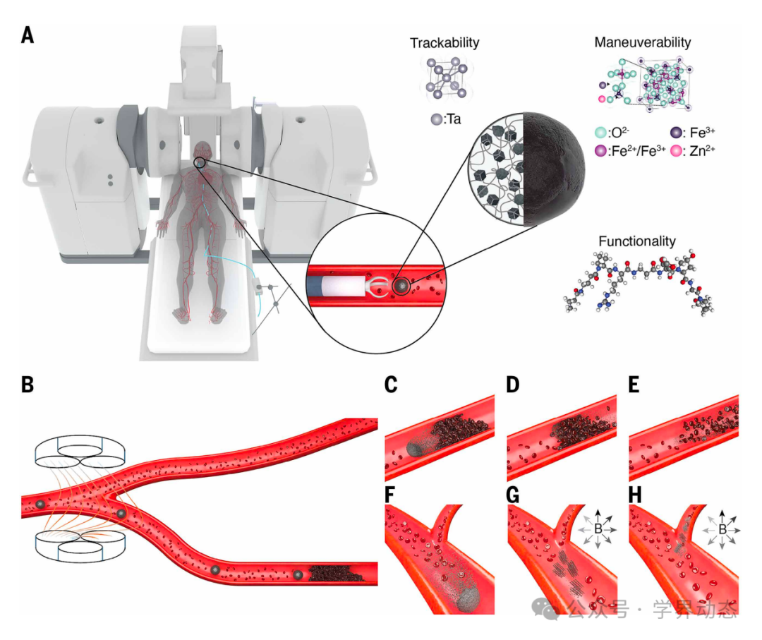 Microscale Robots Become 'Delivery Agents' in the Body, Precisely Delivering Drugs Against Blood Flow