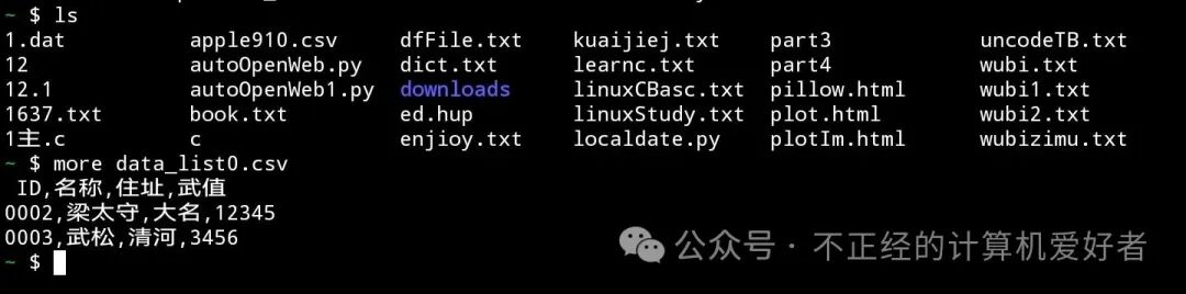 A Brief Usage of CSV in Python