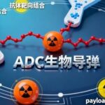 ADC Overview: The Technical Landscape of 'Biological Missiles'