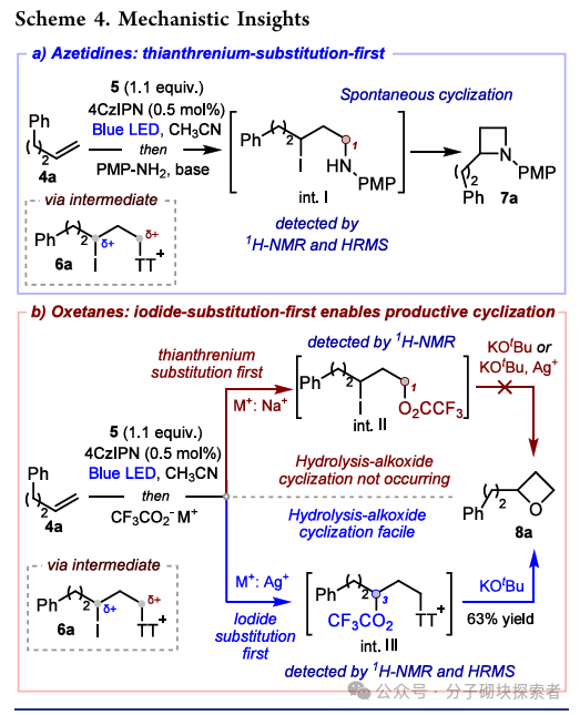 A Universal New Strategy for the Synthesis of 2-Alkyl Tetrahydrocarbons via Photocatalysis: Direct Synthesis from Simple Alkenes