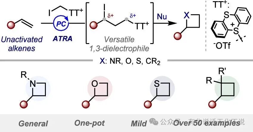 A Unified Synthetic Approach to N, O, S, C Cyclobutanes
