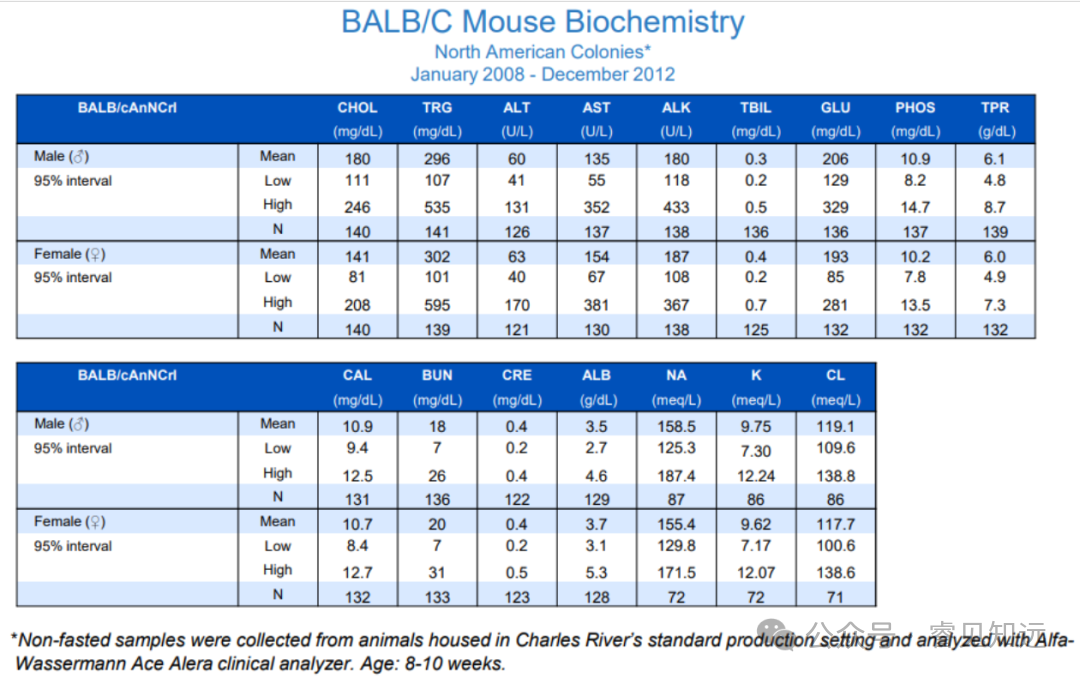 Common Laboratory Animal Mouse - BALB/c Mouse
