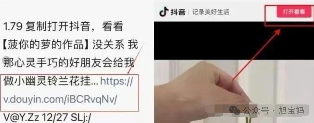 3 Methods to Open Douyin Commands in WeChat