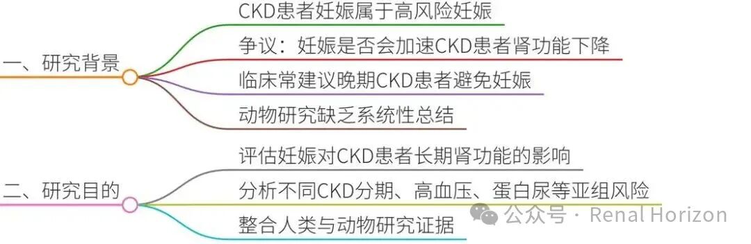 Pregnancy and Long-Term Kidney Function in CKD: A Systematic Review and Meta-Analysis