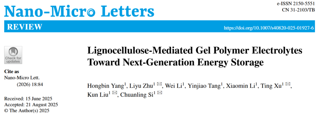 Lignocellulose-Mediated Gel Polymer Electrolytes: Enabling Next-Generation Energy Storage Devices