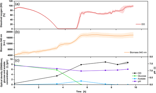 A Novel Multiparameter Sensor for Shake Flask Cultivations: Online Monitoring of Biomass, Dissolved Oxygen, and Fluorescence for Comprehensive Bioprocess Characterization