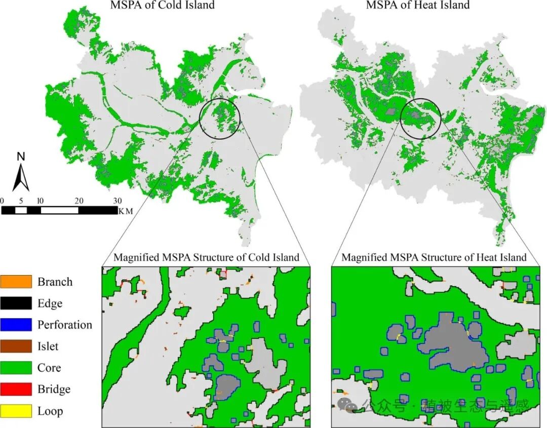 Research on Urban Heat-Cool Interaction Systems and Heat Island Mitigation Based on Complex Network Analysis and XGBoost/SHAP Models