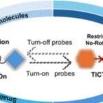 Fluorescent Probes and Imaging Agents Based on Twisted Intramolecular Charge Transfer (TICT)