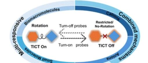 Fluorescent Probes and Imaging Agents Based on Twisted Intramolecular Charge Transfer (TICT)