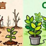 Why Kids Lose Points When Writing C After Learning C++? A Metaphorical Explanation for Parents and Children!