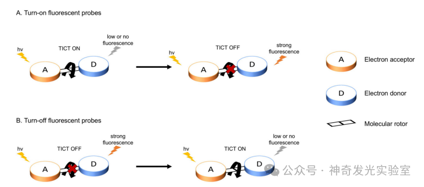 Fluorescent Probes and Imaging Agents Based on Twisted Intramolecular Charge Transfer (TICT)