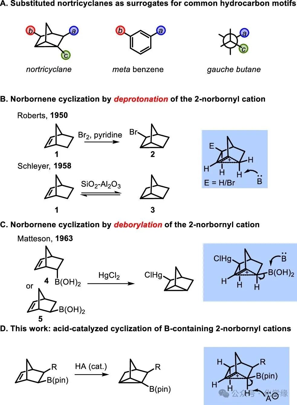 Polycyclic Scaffolds through the Intermediacy of Boron-Stabilized Nonclassical Carbocations