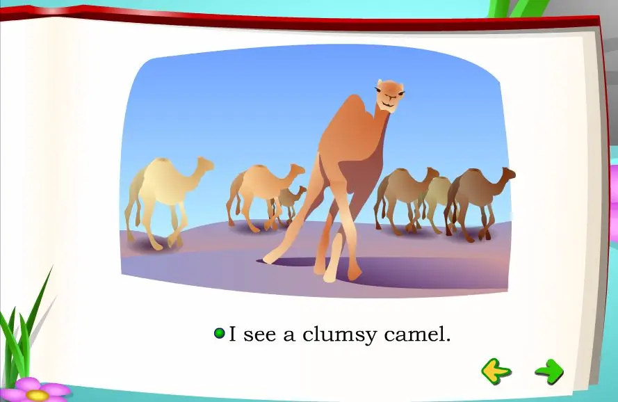 I See C and I See P Activities