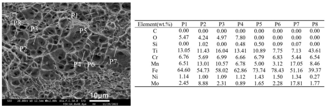 Collaborative Manufacturing with Dual Robots! Validation of Industrial Application Potential for DED-Arc/Wire Bimetallic Hierarchical Structures at Wuhan University of Technology