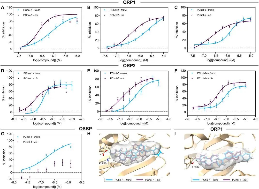 Development of Photoswitchable Cholesterol Derivatives through Side Chain Replacement