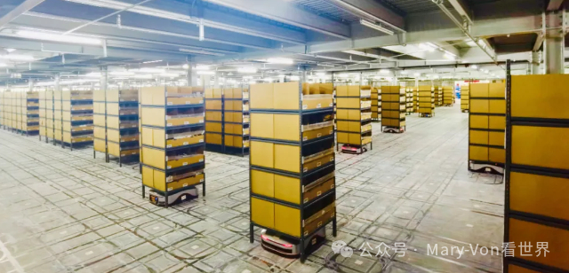 How AI Robots Transform Warehouses into 'Machine Bee Hives'