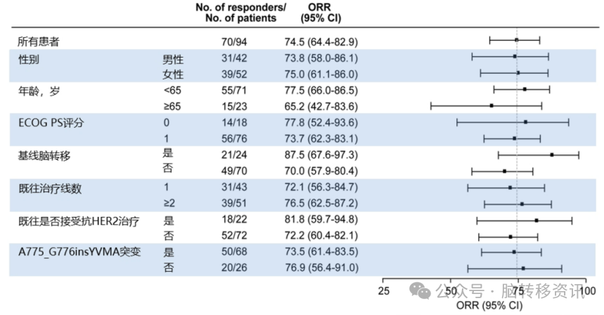 Breakthroughs in HER2-Targeted ADCs for Treating Brain Metastases in Lung Cancer: Clinical Progress from DS-8201 to SHR-A1811