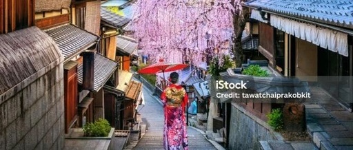 Opportunities in the World's Third Largest Consumer Market: How Chinese AI Toys Tap into Japan's "Loneliness Market"?