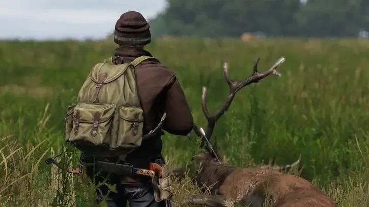 Which Survival Game is More Fun: DAYZ, 7Days, or RUST?