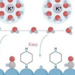 Bidentate Piperazine Interfacial Engineering Achieves New Record for Ethanol Production via CO₂ Electrolysis