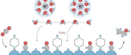 Bidentate Piperazine Interfacial Engineering Achieves New Record for Ethanol Production via CO₂ Electrolysis