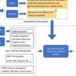 Energy | Empowering Lithium Battery SOC Precision Assessment with EIS Data