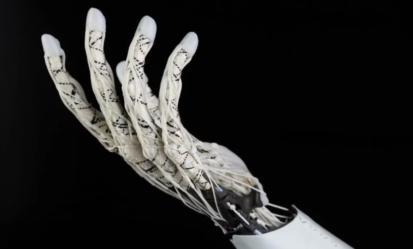 3D Printing Creations from Others (109)