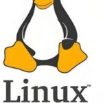 Introduction to Common Linux Commands