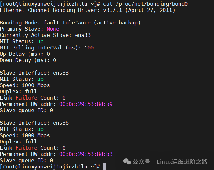 Say Goodbye to Single Point of Failure! Practical Implementation of Linux Dual NIC Bonding for Automatic Fault Tolerance