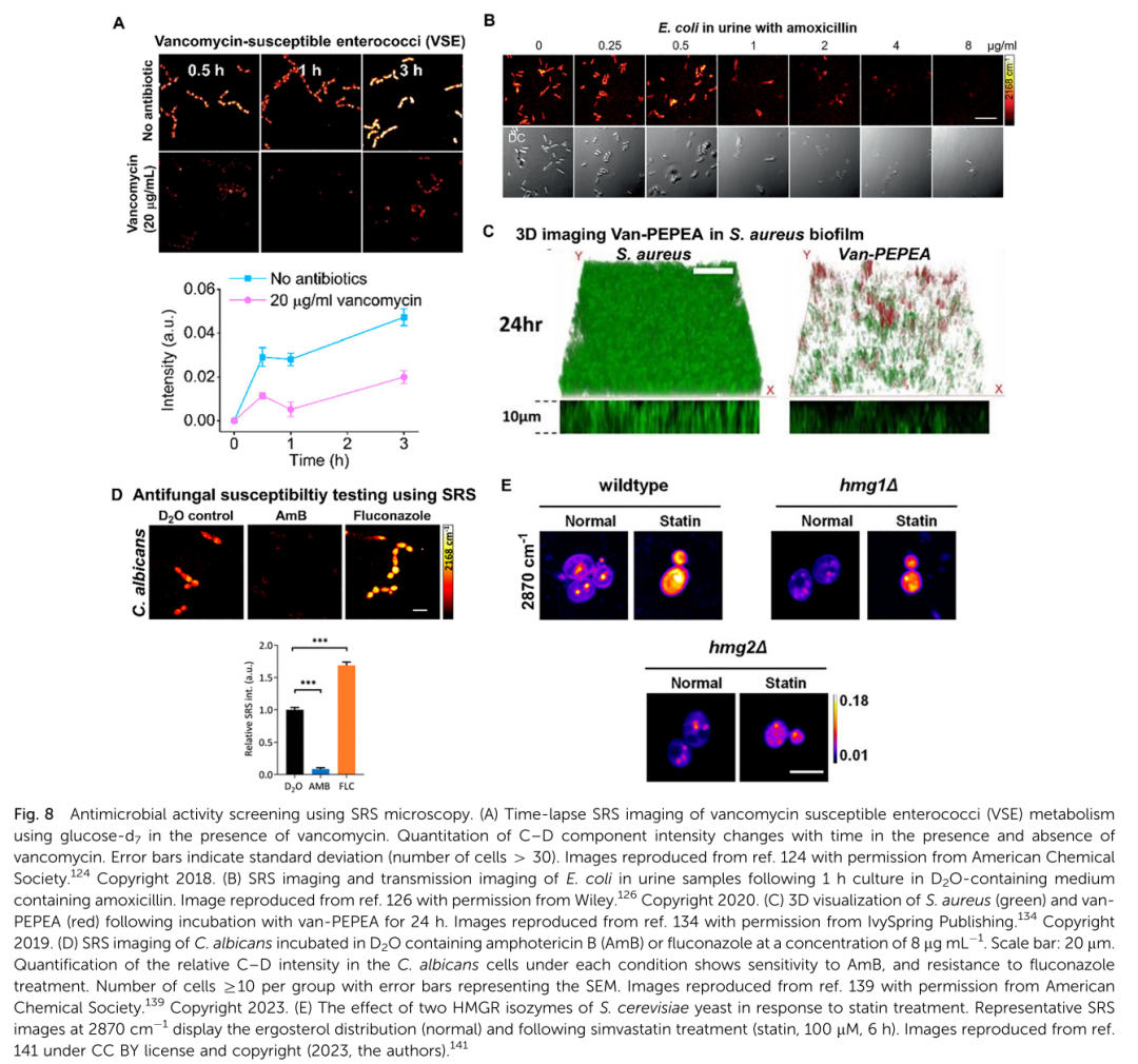 Emerging Applications of Stimulated Raman Scattering Microscopy for Medicinal Chemistry and Drug Discovery