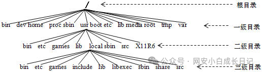 Linux Operating System Configuration and Management - Lesson 2: Graphical and Character Interfaces of RHEL 8.1