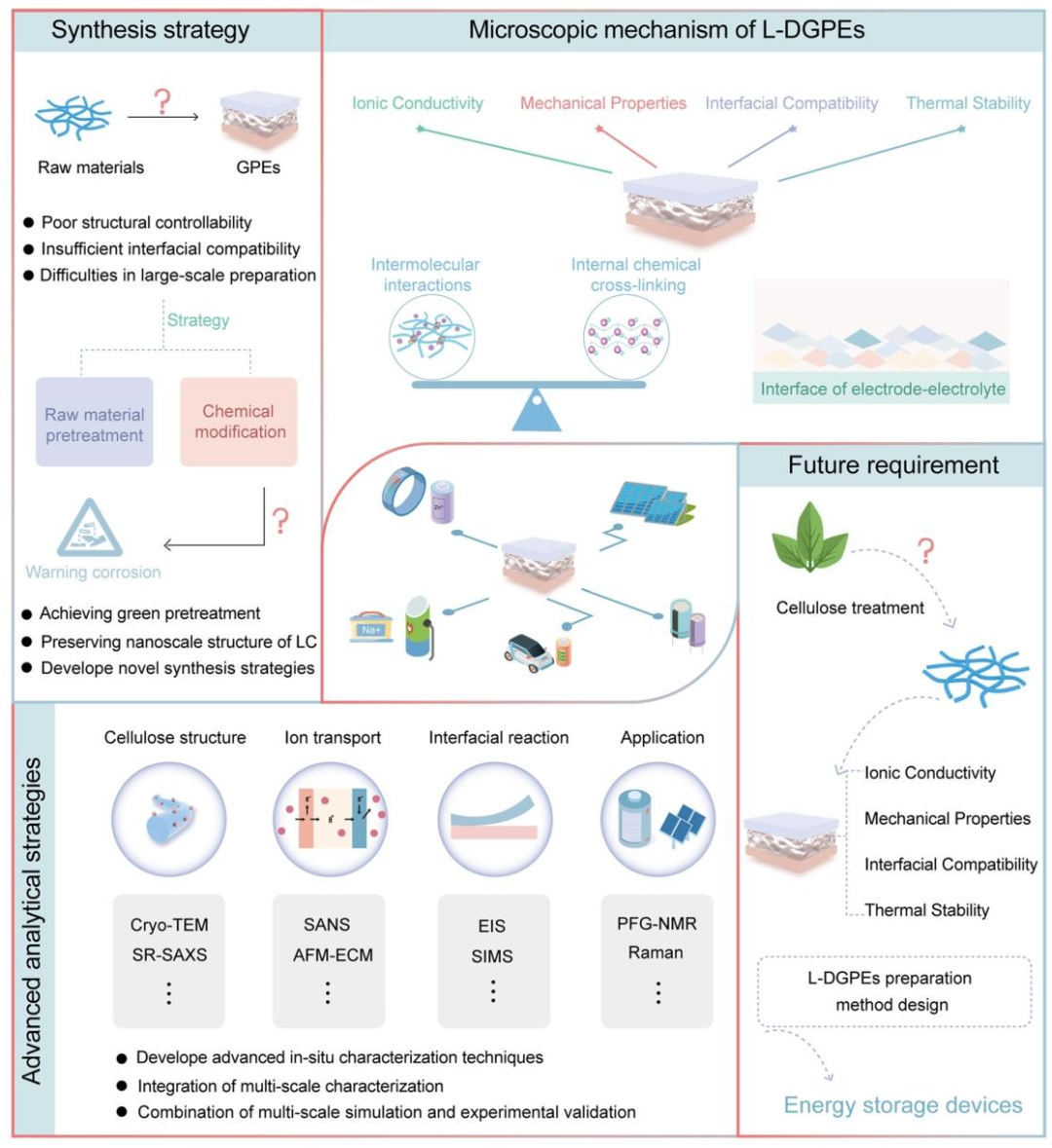 Lignocellulose-Mediated Gel Polymer Electrolytes: Enabling Next-Generation Energy Storage Devices