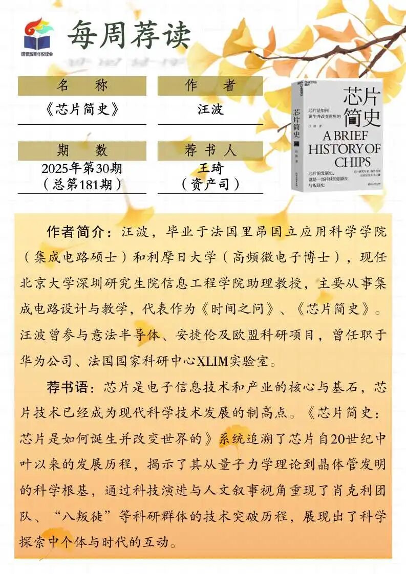Weekly Recommended Reading [202530] Wang Bo's "A Brief History of Chips"