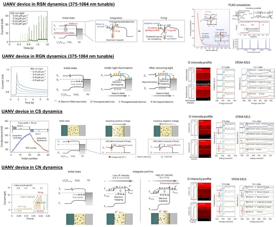 Top Ten Research Advances in Semiconductors (2025-021)