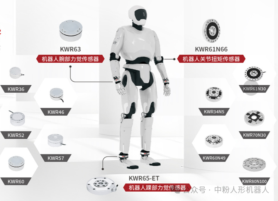 Overview of Core Domestic Force Sensor Enterprises in Humanoid Robotics