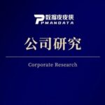 Patent Data on High-End Chip Technology of Listed Companies (1994-2025)