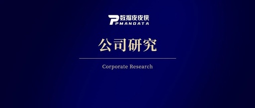 Patent Data on High-End Chip Technology of Listed Companies (1994-2025)