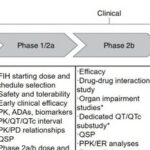 Clinical Development Strategies for Antibody-Drug Conjugates (ADCs)