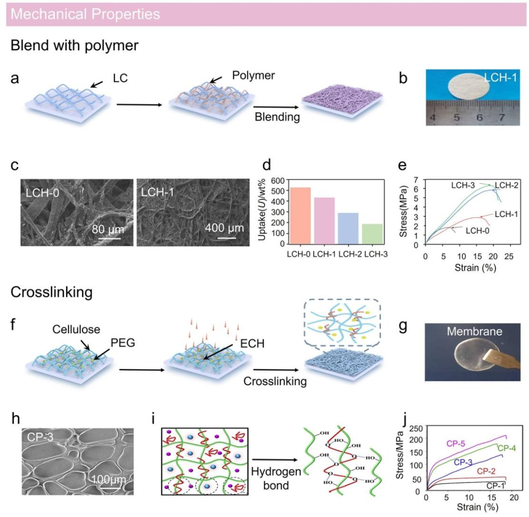 Lignocellulose-Mediated Gel Polymer Electrolytes: Enabling Next-Generation Energy Storage Devices