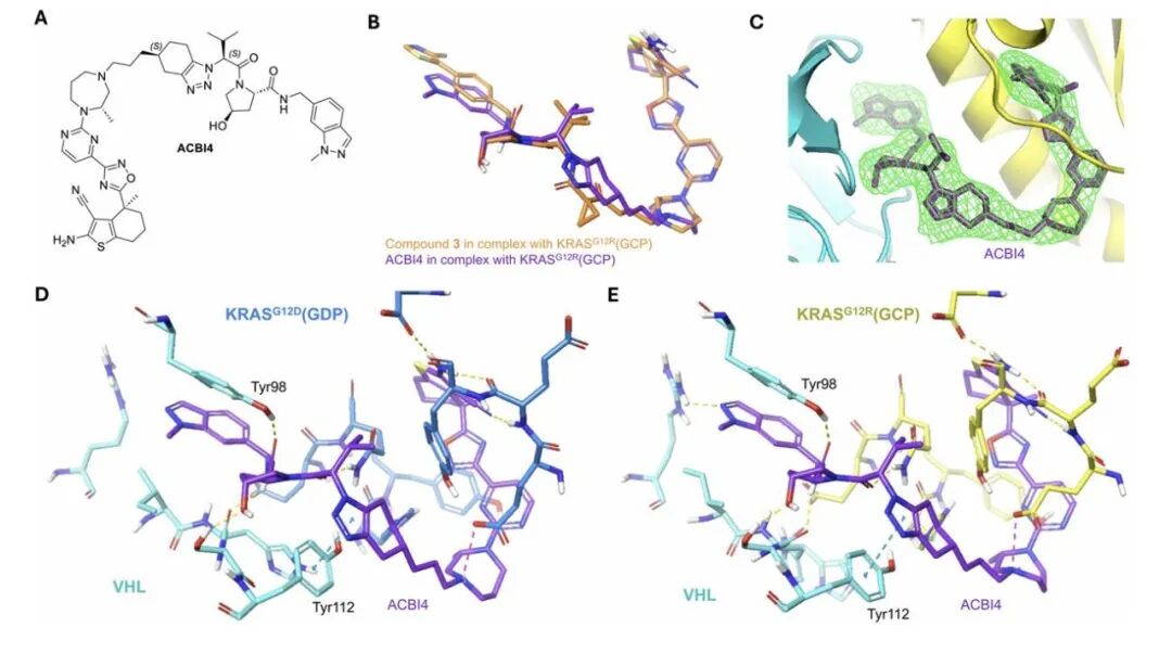 Targeting the 'Activated State' KRAS: Discovery of the Highly Cooperative PROTAC Degrader ACBI4