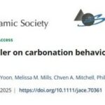 Effect of Calcite Filler on Carbonation Behavior in a Synthesized C-S-H Binder