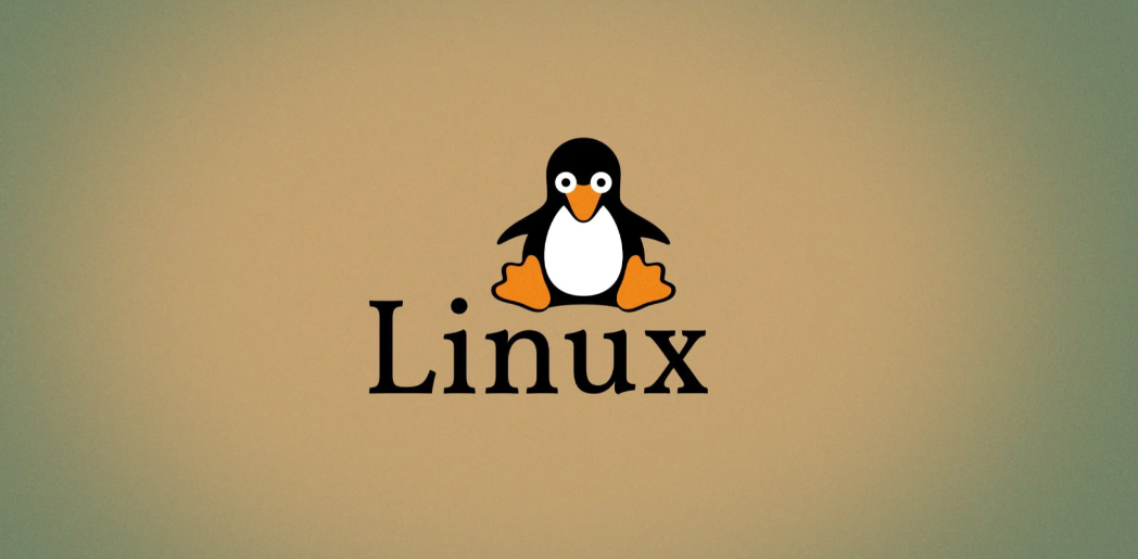 Essential Networking Toolkit for Linux System Installation: net-tools