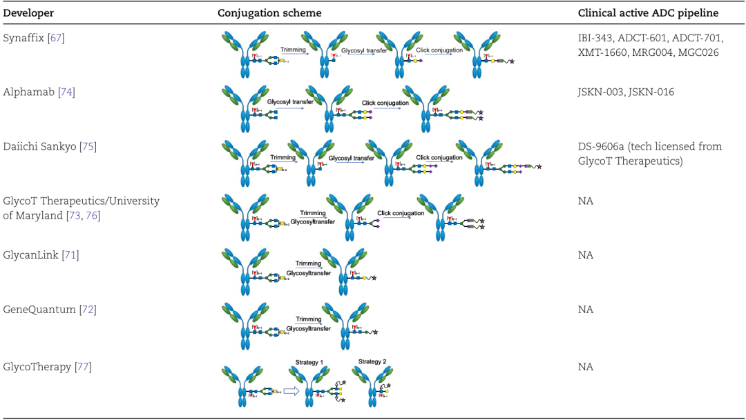 Comprehensive Analysis of ADC Conjugation Technology